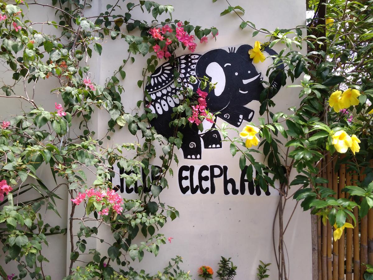Maison d'hôtes Little Elephant
